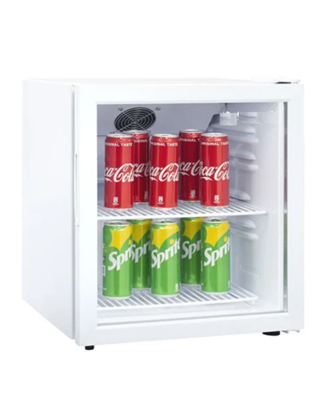 Frigorífico armario - Capacidad 55 lt - cm 44.5 x 51 x 50.1 h