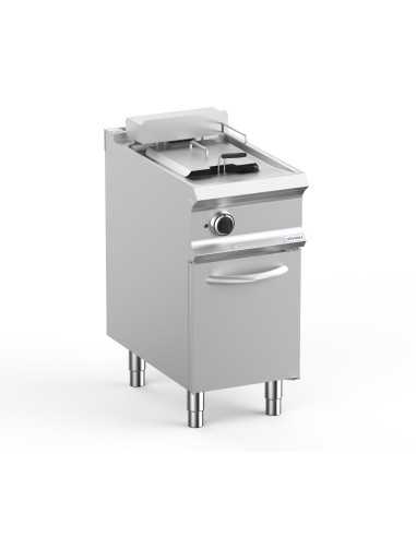 Professional electric fryer with 1 tank 12...