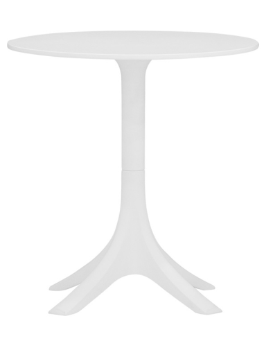 Tavolino - Struttura e piano in polipropilene...