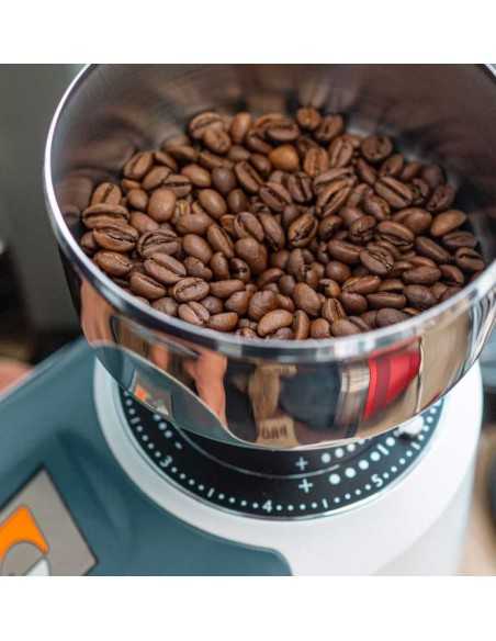 Molinillo de café electrónico con campana 250 g para 1,5 kg al día