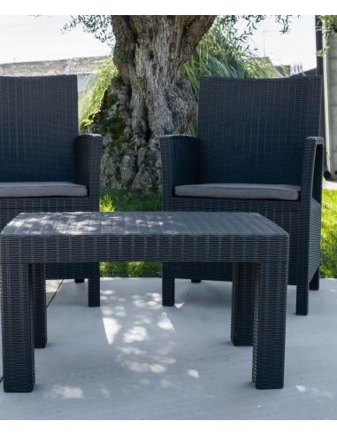 Set - Dos sillones cm 60 x 60 x 91 h - Cuadro...