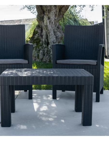 Set - Dos sillones cm 60 x 60 x 91 h - Cuadro cm 78 x 53 x 43 h