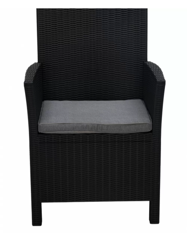 Set - Dos sillones cm 60 x 60 x 91 h - Cuadro...