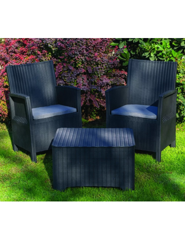 Set - Two armchairs cm 60 x 60 x 91 h - Table...