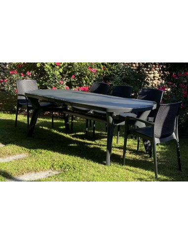 Polypropylene table - Dimensions cm 180 x 90 x...