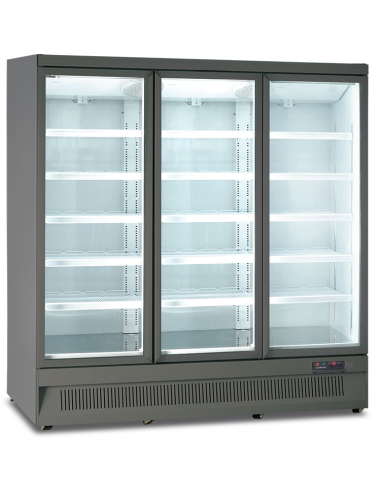 Freezer cabinet - Capacity 1200 Lt- cm 188 x 76...