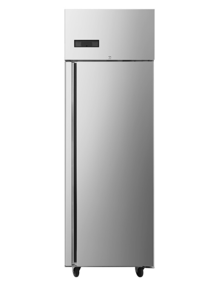 Refrigerated cabinet Litres 552 - cm 65.4 x 80 x 206.5 h