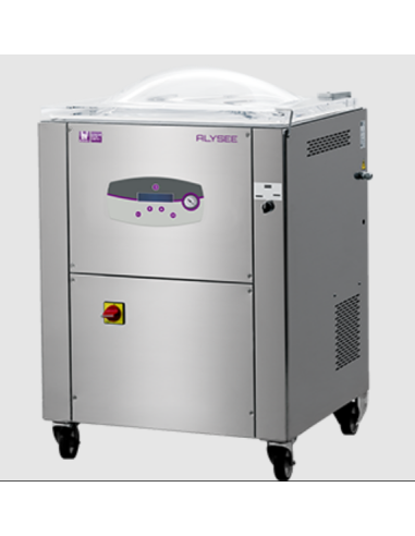 Digital Vacuum Packaging Machine - Double...