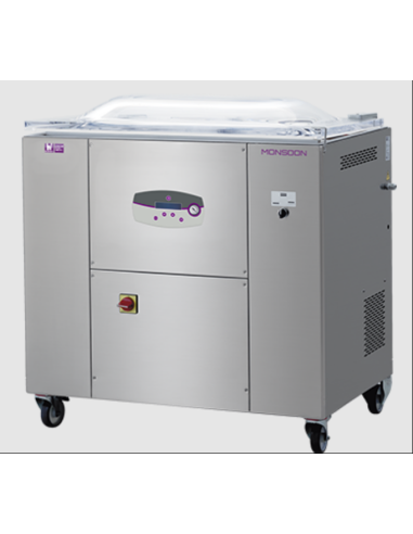 Digital Vacuum Packaging Machine - Double...