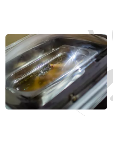 Digital Vacuum Packaging Machine - Double...