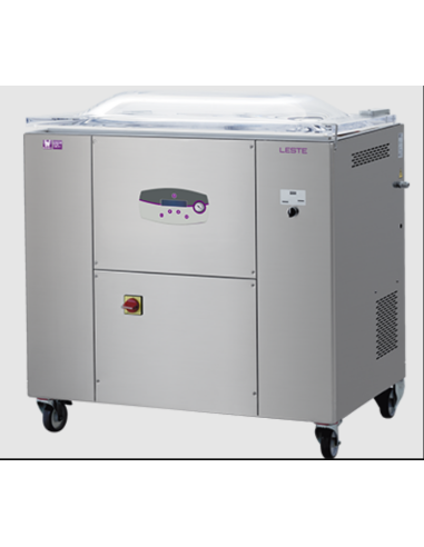 Digital Vacuum Packaging Machine - Double...