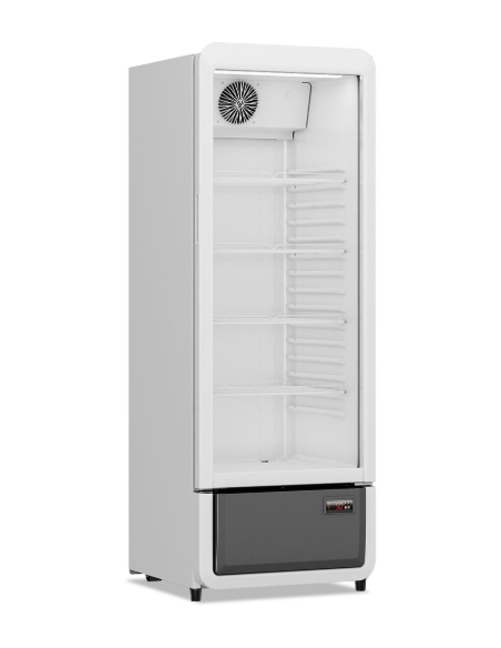 Armadio frigorifero - Capacità litri 218 - cm 54 x 57 x152.5 h Armadio frigorifero - Capacità litri 218 - cm 54 x 57 x152.5 h