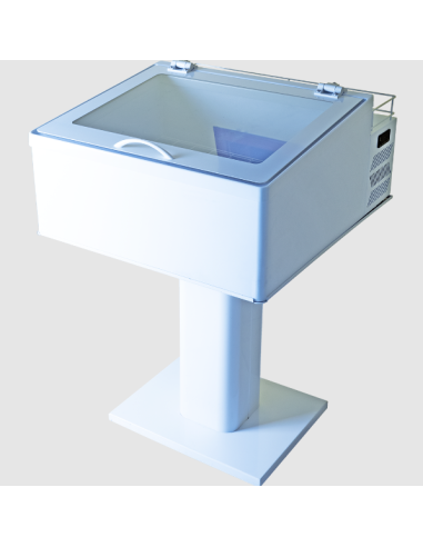 Countertop ice cream display with 3 trays from...