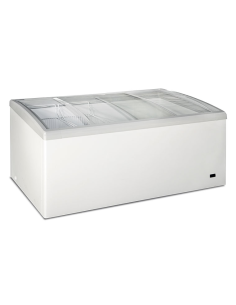 Horizontal freezer - Capacity liters 450 - Cm 160 x 69 x 83 h 2