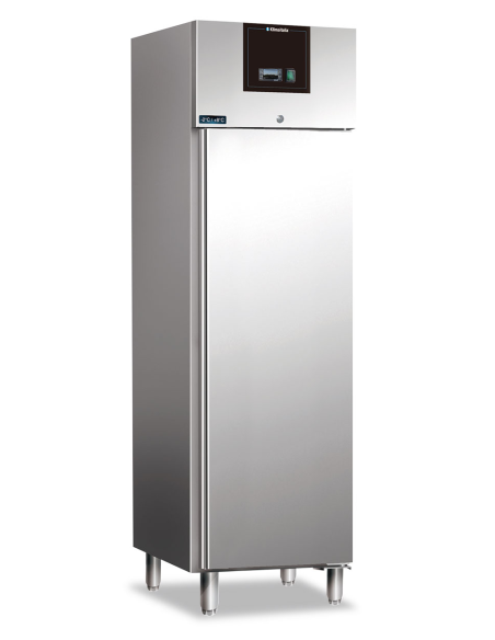 Freezer cabinet - Capacity 293 liters - cm 68 x 71.5 x 200 h Freezer cabinet - Capacity 293 liters - cm 68 x 71.5 x 200 h