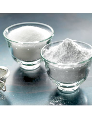 Stainless steel sugar grinder - Capacity hourly 100 kg