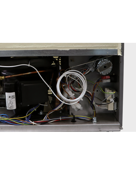 Granular Ice Maker - Producción Aire/Agua - 600 Kg en 24 h