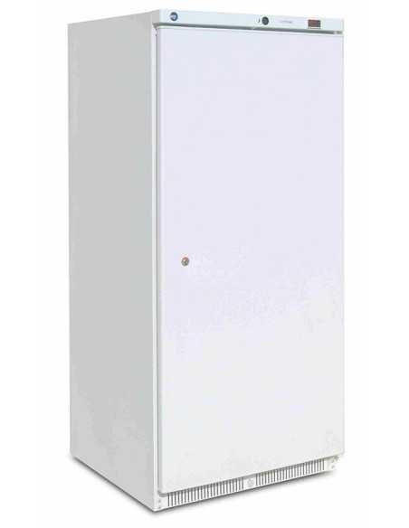 Armadio Refrigerato - Temperatura -25°C -18°C - Cm 77 x 72.2 x 170.2 h