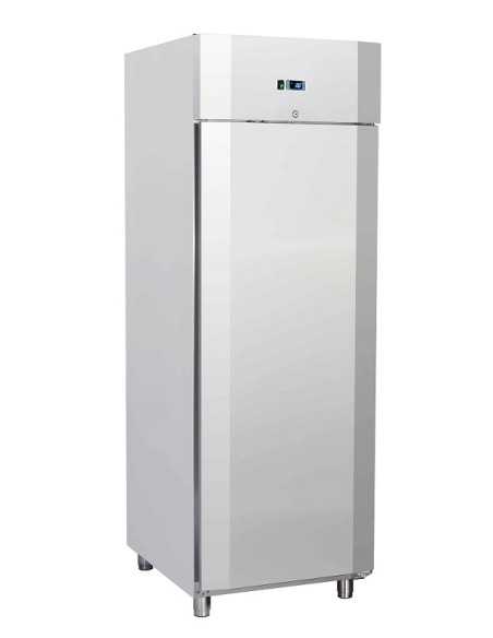 Refrigerated Cabinet - Temperature -22°C -18°C - Cm 70 x 82.3 x 204.5 h