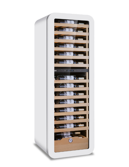 Vetrina refrigerata per vino - Doppia temperatura: +2 °C +12 °C / +12°C +20°C - Cm 54 x 55 x 160 h