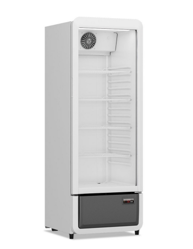 Vetrina refrigerata professionale 240 litri con...