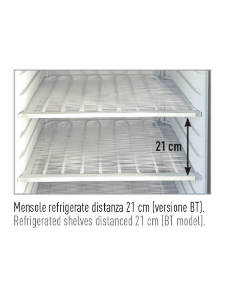 Vitrina refrigerada con puerta de cristal - Temperatura +2°C / +10°C - cm 60 x 62.5 x 186 h