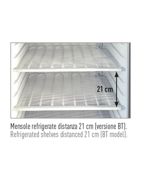 Armadio congelatore con porta in vetro - 400 Lt – Temperatura -22°C / -15°C