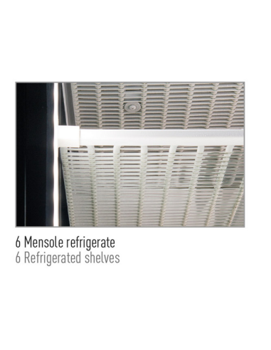 Vitrina para pastelería con 3 lados de vidrio –...