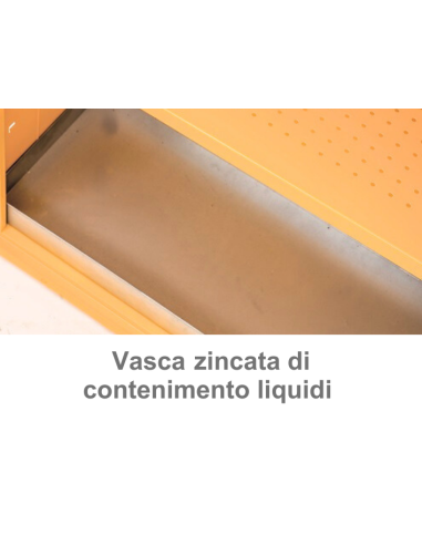 Pesticide storage cabinet with 2 doors - Cm 100...