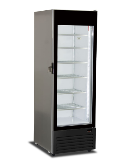 Vetrina Freezer per Gelati e Surgelati - Capacità lt 283 - cm 54 x 64.6 x 178.8 h