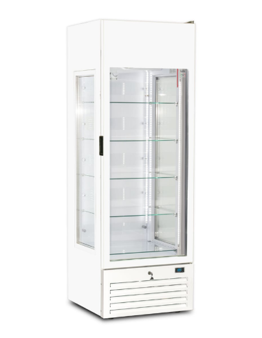 Freezer Display Case for Ice Cream and Frozen...