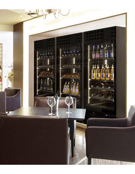 Vitrina de vinos multitemperatura - Temperatura +2°C+18°C - Litros470 - Cm 66.8 x 78.1 x 200 h