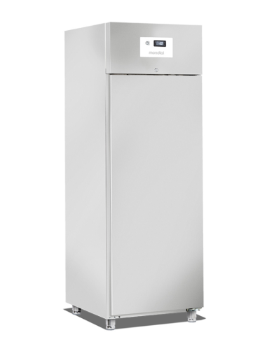 Freezer cabinet - Capacity liters 700 -...