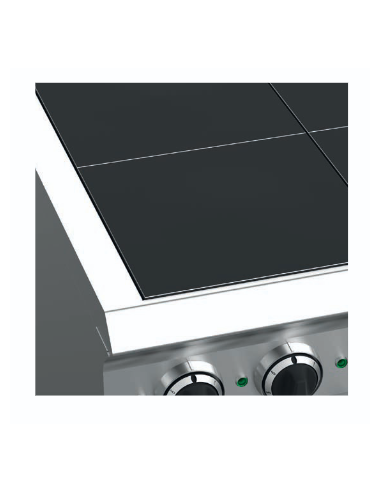 Professional electric stove with 2 lowered...
