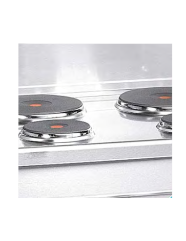 Professional electric stove with 2 plates -...