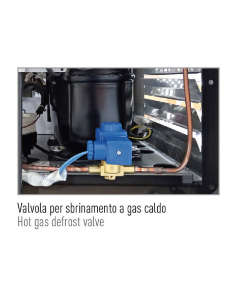 Vitrina de pastelería 258 Lt con 4 lados de cristal - Temperatura +2°/ +8°C - cm 45 x 65 x 195 h