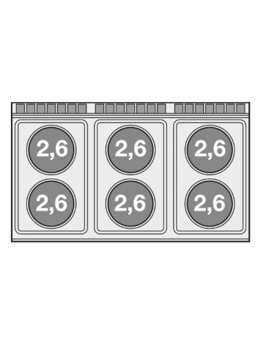 Cocina eléctrica profesional con 6 placas...