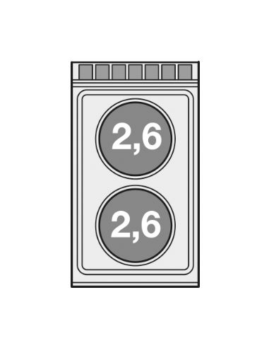 Cocina eléctrica profesional con 2 placas...
