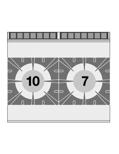 Professional gas stove with 2 burner cast iron...