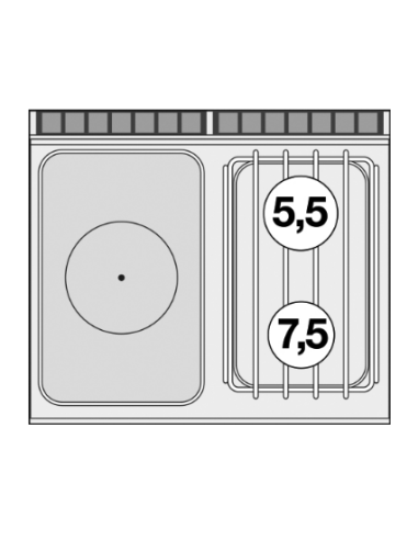 Professional Gas Cooker - Plate with 2 Burners...