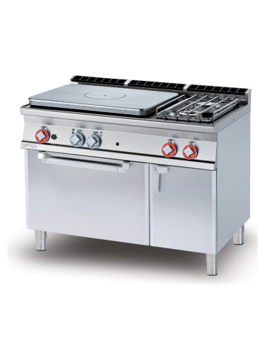 Professional Gas Cooker - Plate with 2 Burners...