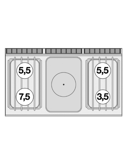 Professional gas stove - Plate with 4 burners and static electric oven - cm 120 x 70.5 x 90 h