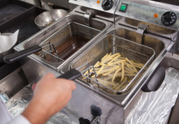 How to choose the professional fryer: types and advice for use