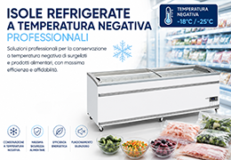 Negative Temperature Island Freezers: Professional Storage and Display for Frozen Foods
